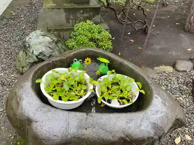 彌彦神社　(伊夜日子神社)の手水舎