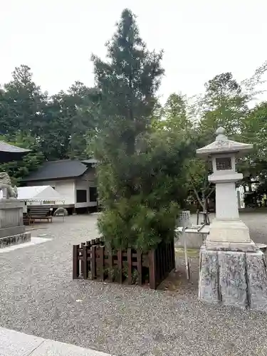 甲斐國一宮 浅間神社(山梨県)