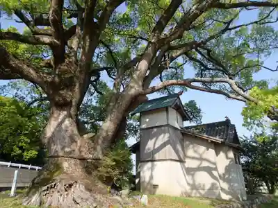 速雨神社の自然