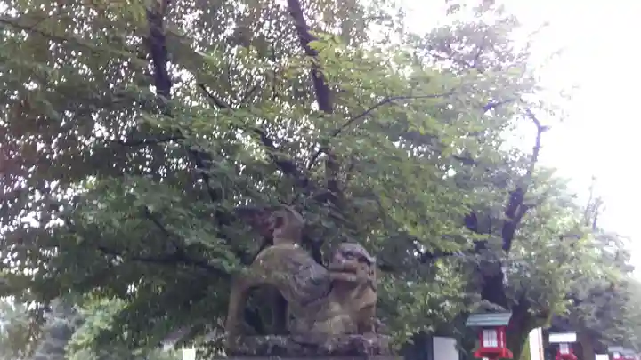 鷲宮神社の狛犬