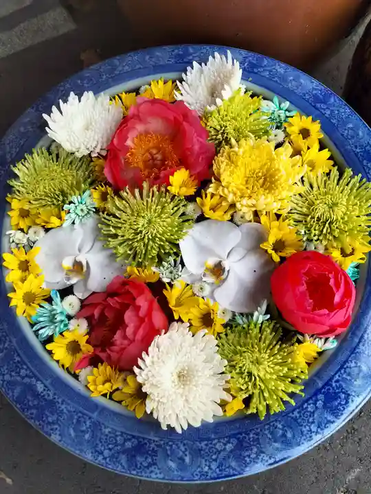 多賀神社の手水舎