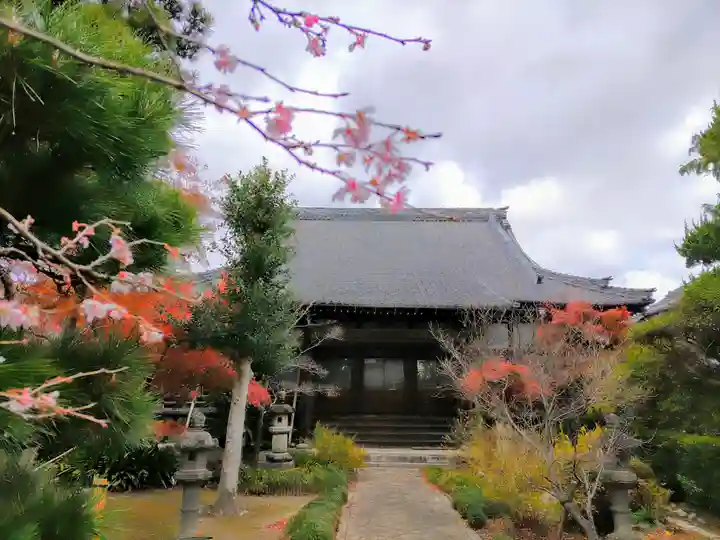 西運寺の本殿・本堂