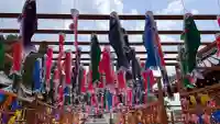 金井神社の{uncategorized: "未分類", other: "その他", undefined: "問題あり", building: "その他建物", grave: "お墓", sacred_gate: "鳥居", guardian: "狛犬", statue: "像", buddha: "仏像", history: "歴史", nature: "自然", garden: "庭園", animal: "動物", pagoda: "塔", temizu: "手水舎", mountain_gate: "山門・神門", sanctuary: "本殿・本堂", subordinate: "末社・摂社", art: "芸術", scenery: "景色", jizo: "地蔵", ema: "絵馬", goshuin: "御朱印", omikuji: "おみくじ", items: "授与品その他", amulet: "お守り", goshuincho: "御朱印帳", eats: "食事", festival: "お祭り", votive_dance: "神楽", shichigosan: "七五三参", wedding: "結婚式", experience: "体験その他", initially: "初詣", around: "周辺", anti_infection: "感染症対策"}