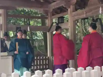 大山祇神社(愛媛県)