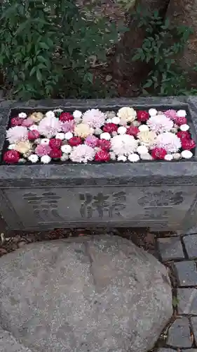 行田八幡神社の手水