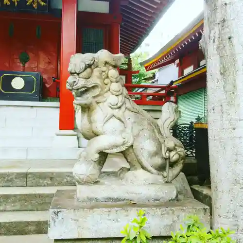 神田神社（神田明神）の狛犬