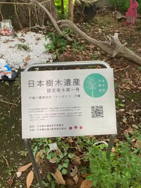 戸越八幡神社(東京都)