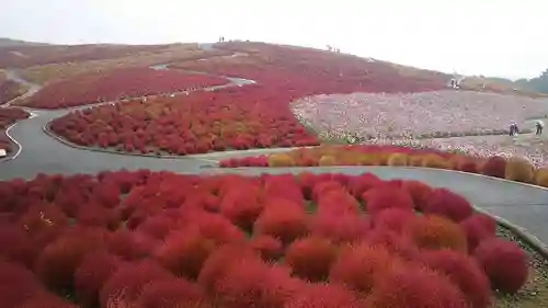 笠間稲荷神社の景色