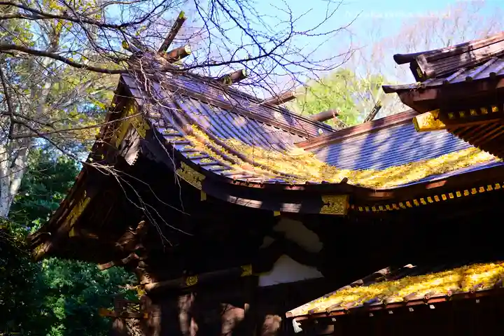 玉敷神社(埼玉県)