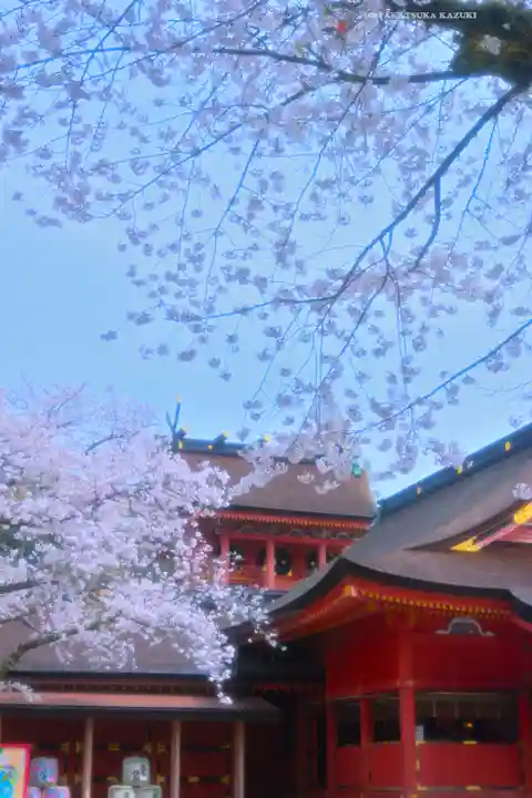 富士山本宮浅間大社(静岡県)