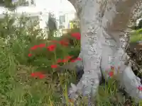 和田塚(神奈川県)