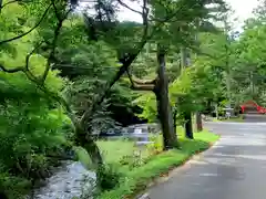 大洞院の建物その他