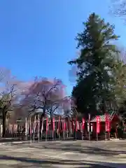 白岡八幡神社(埼玉県)