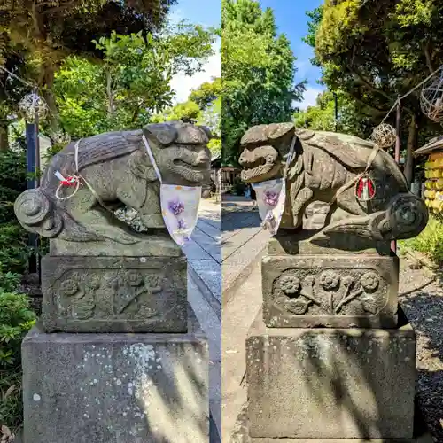 菊田神社の狛犬