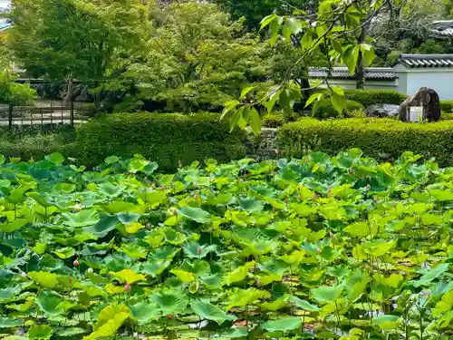 萬福寺(京都府)