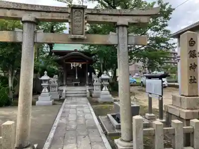 白銀神社(福井県)