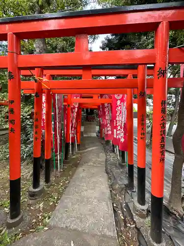 東伏見稲荷神社の鳥居