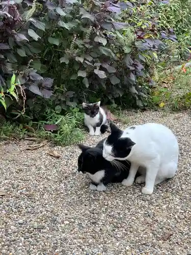 浄瑠璃寺(京都府)