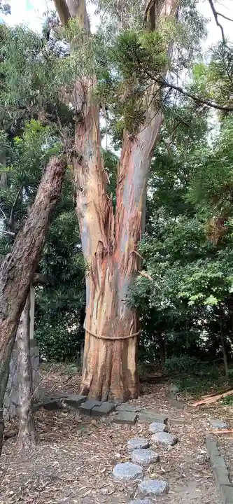 元城町東照宮の自然