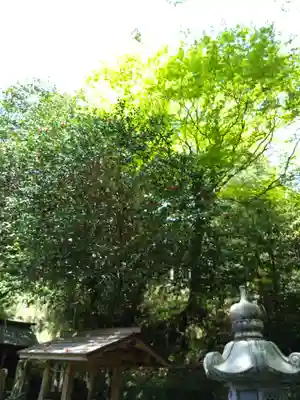 国造神社(熊本県)