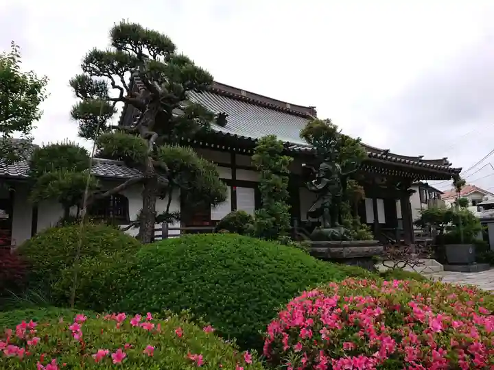 普門寺の本殿・本堂