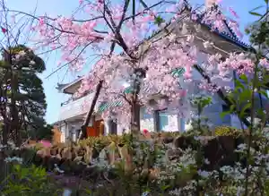 寿量山 速成寺(奈良県)(2022年04月07日(木) 21時00分18秒投稿)
