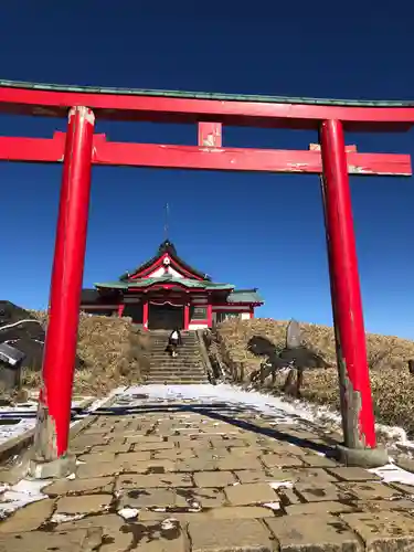 箱根元宮の鳥居