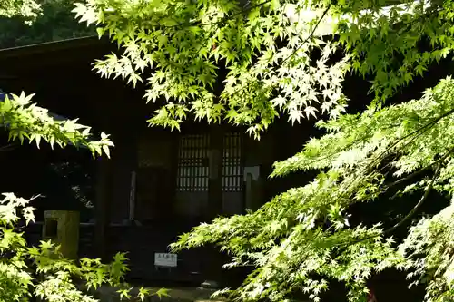 普門寺(切り絵御朱印発祥の寺)の自然