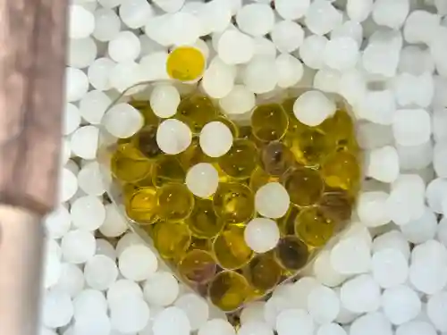 善楽寺の手水舎