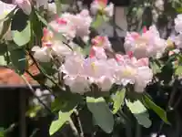 木舟山 順教寺の自然