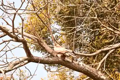 等覚寺(愛媛県)