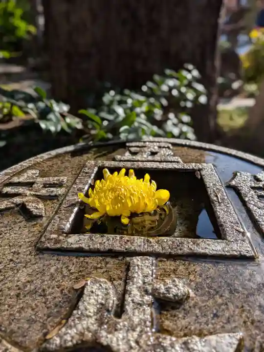 常性寺(東京都)