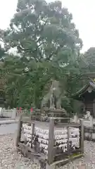 岐阜護國神社の狛犬