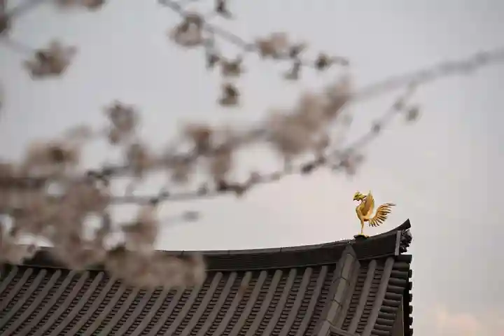 平等院(京都府)