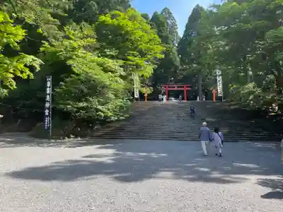 霧島神宮(鹿児島県)