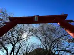 子檀嶺神社(長野県)