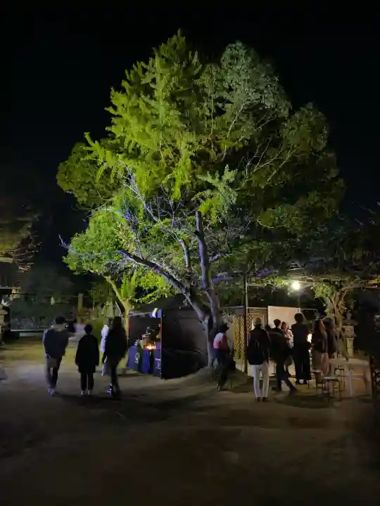 このみ白雲大社(岡山県)