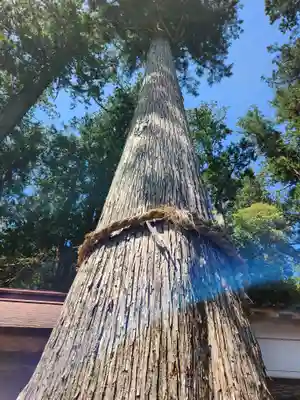伊和神社(兵庫県)