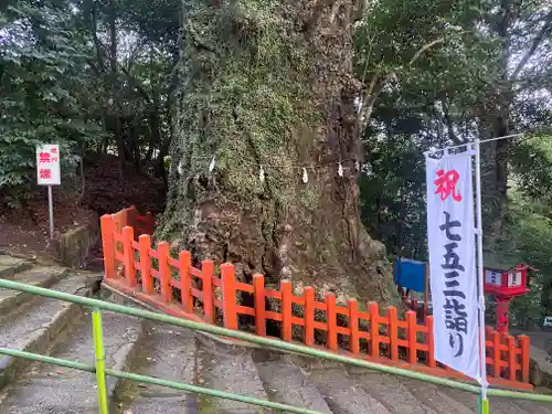新田神社(鹿児島県)