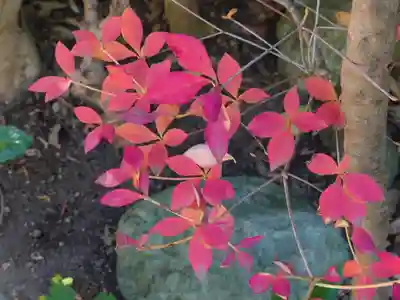 大綱金刀比羅神社(神奈川県)