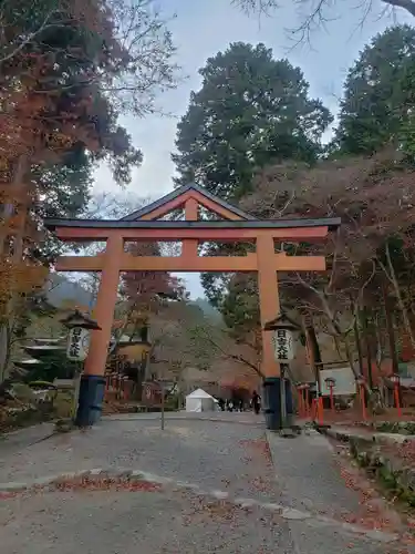 日吉大社の鳥居