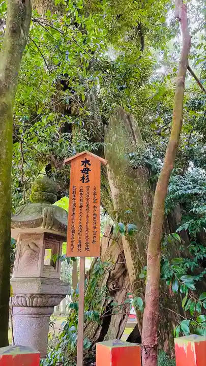 香取神宮の自然