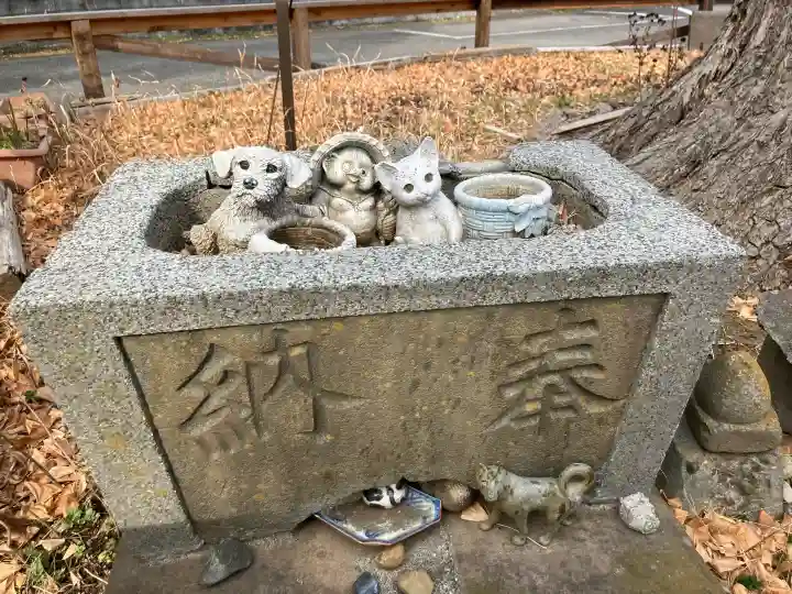 杉山社(上星川鎮守)の{uncategorized: "未分類", other: "その他", undefined: "問題あり", building: "その他建物", grave: "お墓", sacred_gate: "鳥居", guardian: "狛犬", statue: "像", buddha: "仏像", history: "歴史", nature: "自然", garden: "庭園", animal: "動物", pagoda: "塔", temizu: "手水舎", mountain_gate: "山門・神門", sanctuary: "本殿・本堂", subordinate: "末社・摂社", art: "芸術", scenery: "景色", jizo: "地蔵", ema: "絵馬", goshuin: "御朱印", omikuji: "おみくじ", items: "授与品その他", amulet: "お守り", goshuincho: "御朱印帳", eats: "食事", festival: "お祭り", votive_dance: "神楽", shichigosan: "七五三参", wedding: "結婚式", experience: "体験その他", initially: "初詣", around: "周辺", anti_infection: "感染症対策"}