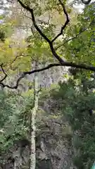 厳竜神社(岩手県)