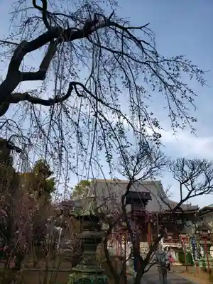 輪王寺両大師堂(寛永寺輪王殿)(東京都)