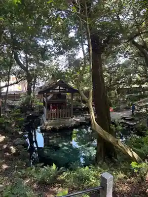 泉神社(茨城県)
