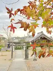 鹿島台神社の鳥居