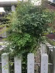 神明神社(福井県)