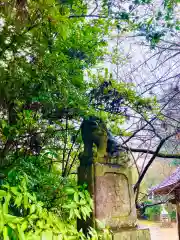 日先神社の狛犬