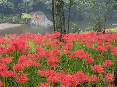 高麗神社(埼玉県)